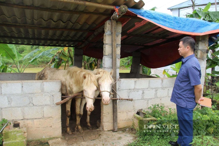 Hoàng Tính