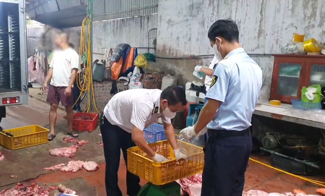 Điều tra vụ gần 1 tấn thịt lợn nhiễm dịch tả châu Phi, lợn bệnh 'suýt' đưa ra thị trường - 2