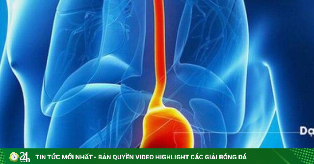 Người đàn ông 62 tuổi mắc ung thư dạ dày thừa nhận suốt 20 năm chủ quan, bỏ qua dấu hiệu này