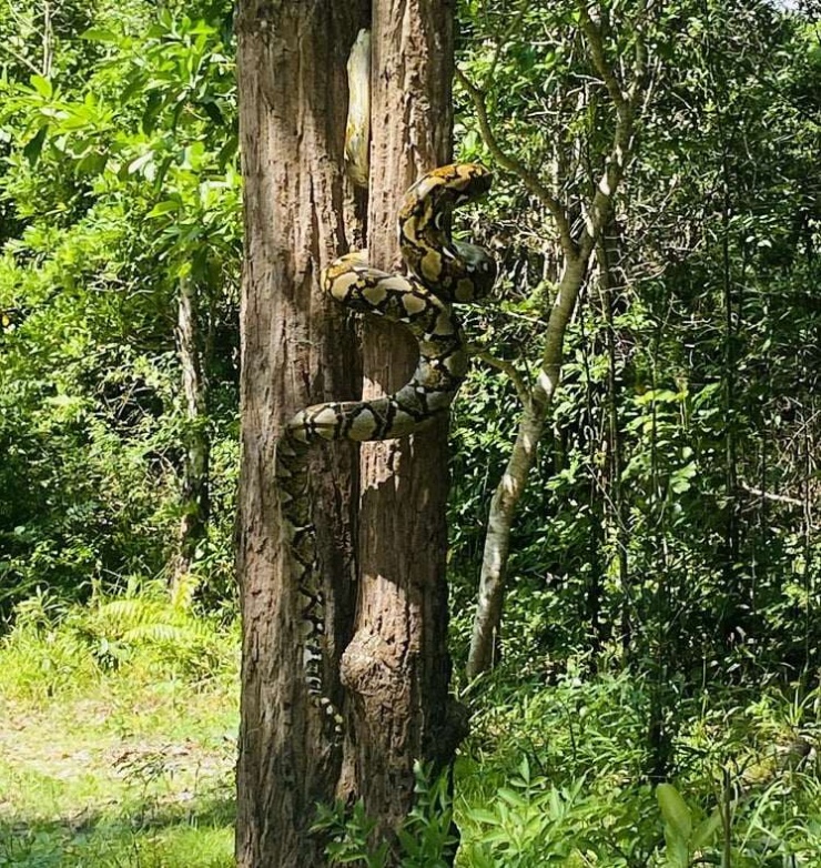 Công an xã Tuyên Quang