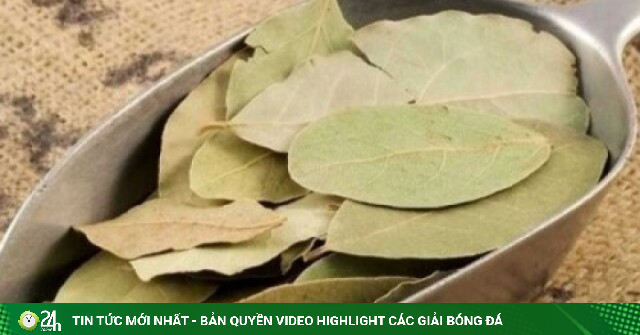 Loại lá vừa cay vừa đắng là vị thuốc bổ gan, biết dùng sức khoẻ càng thăng hạng
