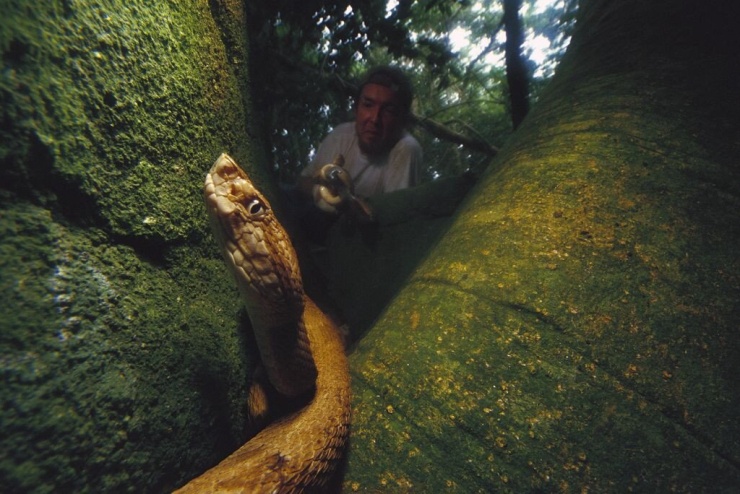 Mark Moffett/Smithsonianmag