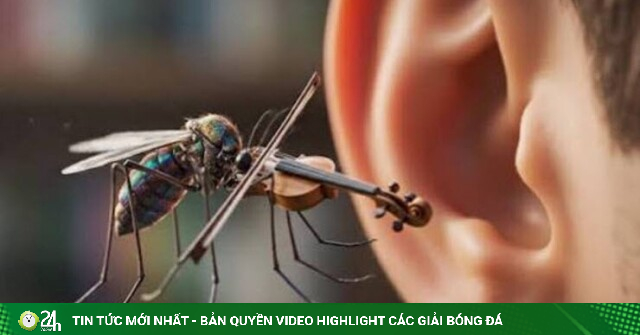 Khoa học giải mã hiện tượng muỗi luôn "vo ve" bên tai chúng ta khi ngủ