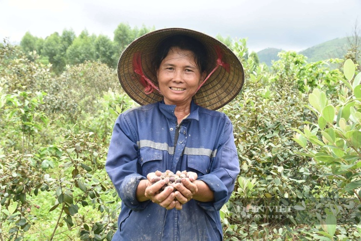 Bùi My
