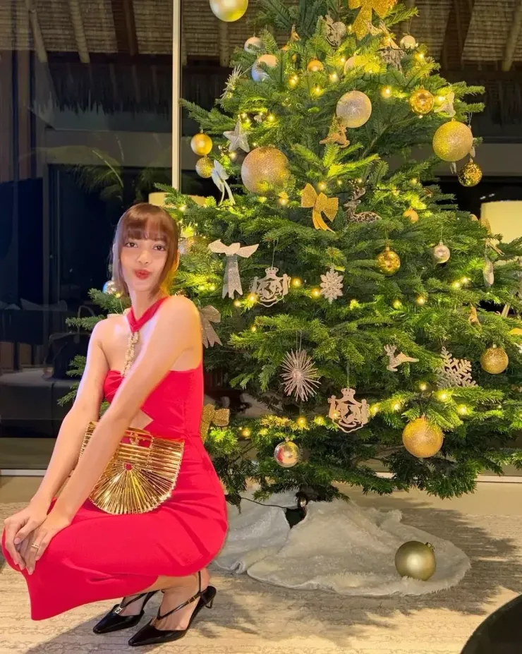Bộ sưu tập túi hiệu của Lisa - 11