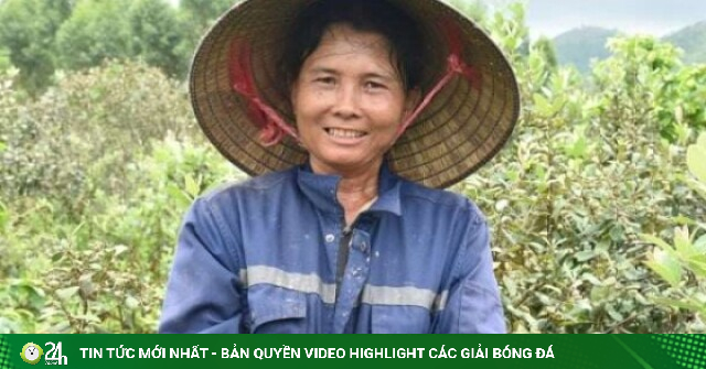Bứng cây dại mọc hoang về trồng kín 5 sào đất, một nông dân Quảng Ninh hễ bẻ quả chín là bán đắt hàng như tôm tươi