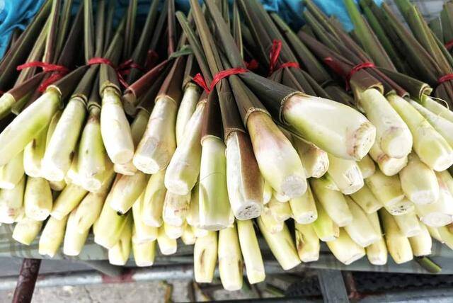 Sau khi bóc lớp vỏ tím bên ngoài, phần bên trong của củ trắng ngà. Ảnh HM