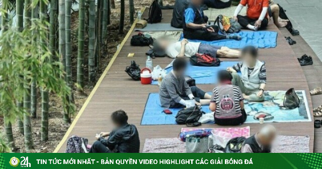 Vì sao người già Hàn Quốc kéo nhau tới sân bay tránh nóng?