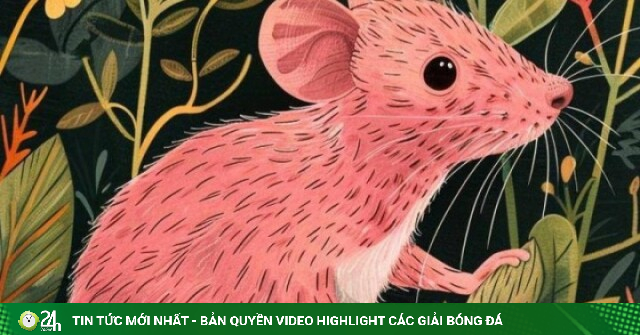 Những con giáp tiền vận long đong, càng về sau càng giàu có, đủ đầy