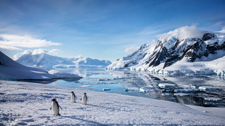 An AI center cannot be located in Antarctica.