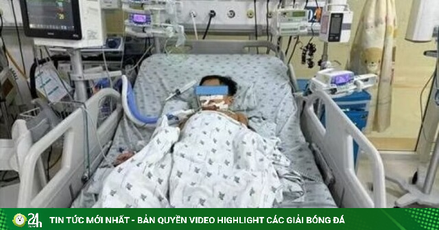 Ăn thịt chuột, ba chị em nguy kịch do ngộ độc