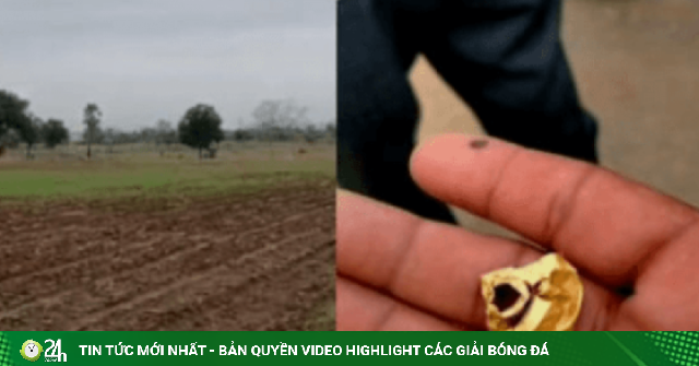 Cơ quan chức năng đưa phương án xử lý nửa kg vàng trị giá hơn 1,8 tỷ đồng được người phụ nữ phát hiện khi đi nhổ cỏ