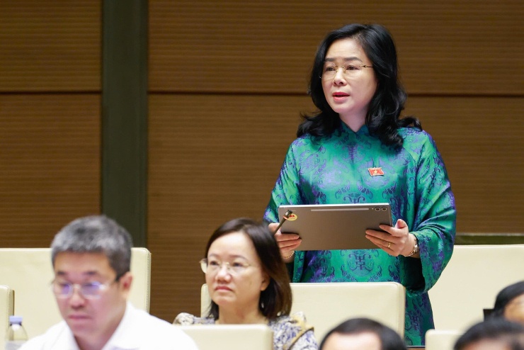 Đại biểu Lê Thị Hoài Chung 