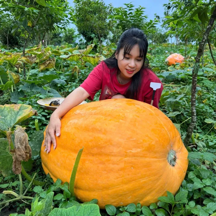 Nguyễn Thanh Hải