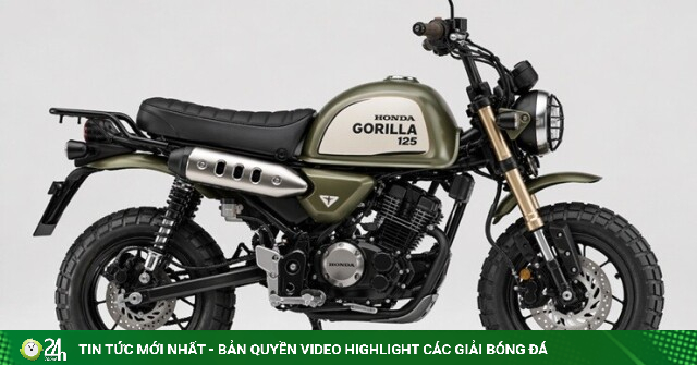 Honda Gorilla 125 có thể “hồi sinh” từ nền tảng Monkey 125