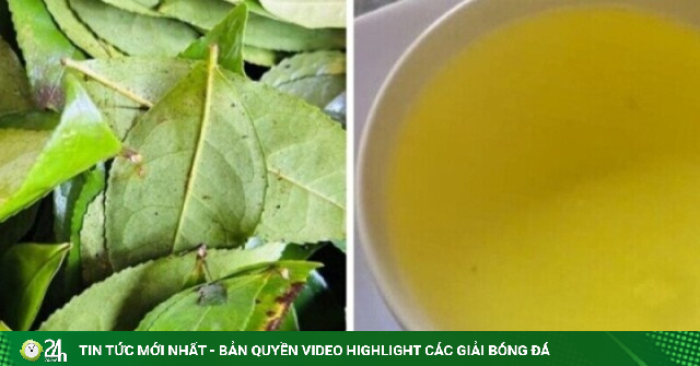 Điều gì sẽ xảy ra với cơ thể nếu bạn uống nước chè xanh mỗi ngày?