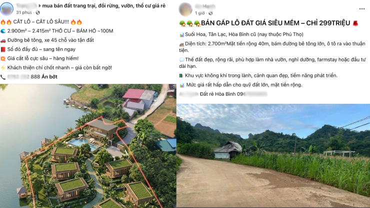 Bất động sản trang trại giá giảm nhưng vẫn ế ẩm - 2