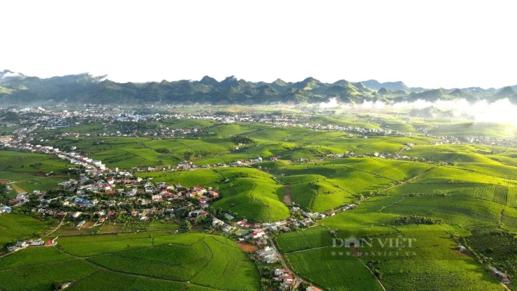 Hết thời “bỏ phố về rừng”: Bất động sản trang trại giá giảm nhưng vẫn ế ẩm