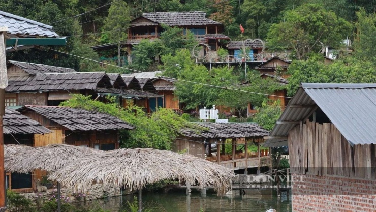 Kiều Tâm
