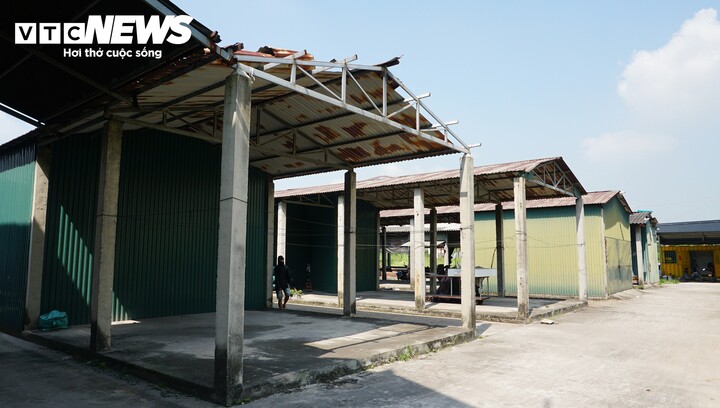 Khu chợ xây trên đất lúa ở Quảng Ninh, bị xử phạt và truy thu gần 6 tỷ đồng - 8