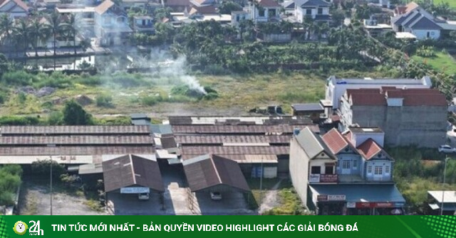 Khu chợ xây trên đất lúa ở Quảng Ninh, bị xử phạt và truy thu gần 6 tỷ đồng