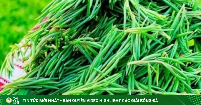 Rau mặn đặc sản được nhiều người tìm mua