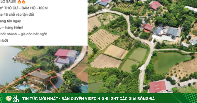 Hết thời “bỏ phố về rừng”: Bất động sản trang trại giá giảm nhưng vẫn ế ẩm