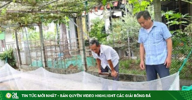 Quây lưới làm chỗ "ăn chơi" cho 13.000 con ham nhảy này, một người Hà Tĩnh hễ bán 1 lứa là cầm cục tiền lãi 100 triệu