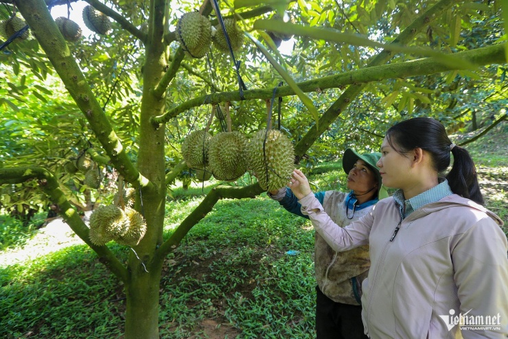 Xuân Ngọc