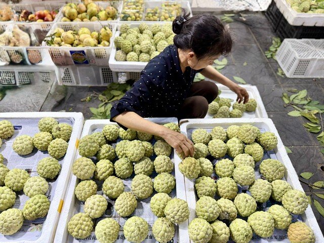 Na được nhiều người ưa chuộng bởi hương vị thơm ngon và có tác dụng tốt đối với sức khỏe.