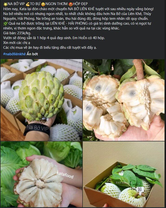Na bở có giá bán tương đối cao, thậm chí cao gấp đôi so với na dai.