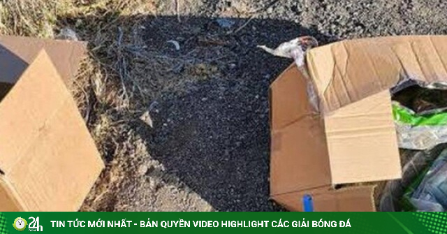 Phát hiện 2 thùng giấy chứa gần 24 tỷ đồng tiền mặt nằm lăn lóc giữa đường cao tốc