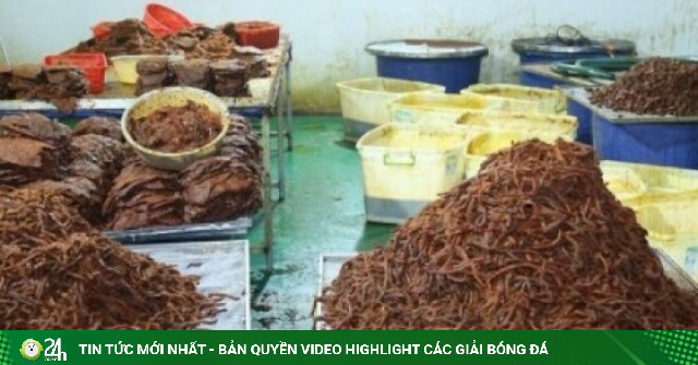 Triệt phá đường dây "phù phép" 130 tấn thịt trâu thành khô bò, bỏ túi 21 tỷ đồng