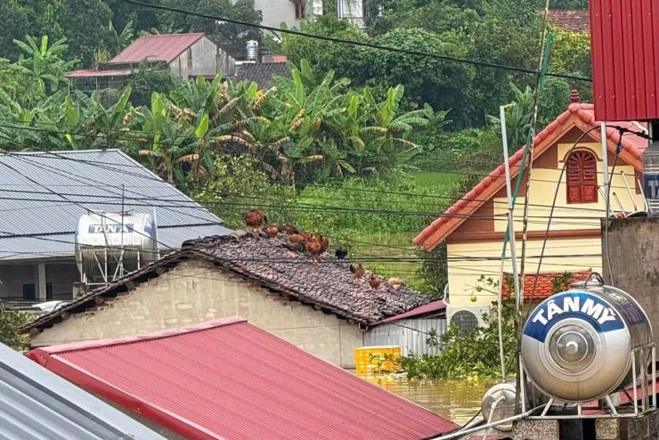Bão số 4 Narra: Lạng Sơn ngập sâu, nước dâng mấp mé tầng 2