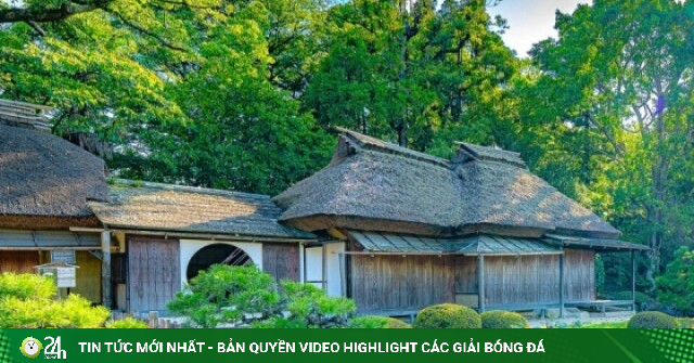 Vẻ đẹp bốn mùa của khu vườn 300 tuổi ở Nhật Bản