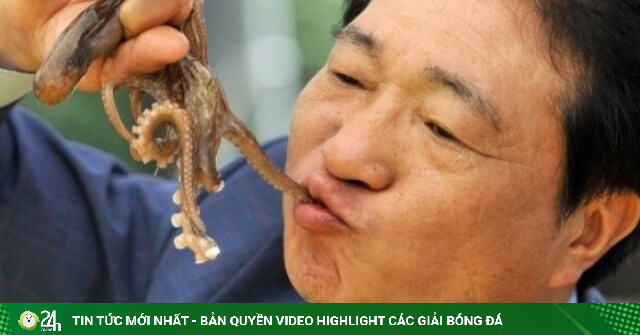 Vì sao người Hàn Quốc thích ăn bạch tuộc sống?
