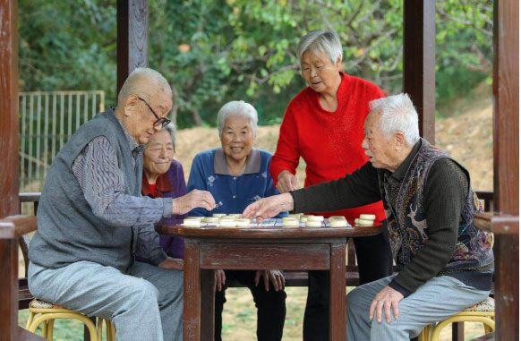 Bán nhà 3,8 tỷ về quê trồng rau, nuôi gà, vợ chồng nghỉ hưu vỡ mộng chỉ sau 10 tháng
