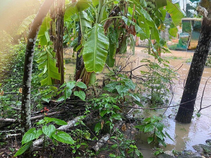 Chuyên gia cảnh báo mưa lớn dồn dập hôm nay do hoàn lưu áp thấp nhiệt đới