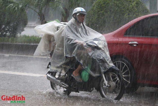 Những tỉnh thành này là tâm điểm mưa lớn trong ngày hôm nay