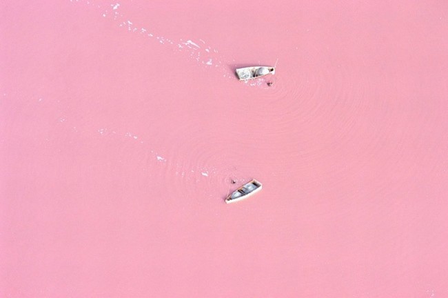 Hồ Retba, Senegal có màu hồng vì hàm lượng muối trong hồ thu hút những con vi khuẩn dunaliella salina. Vi khuẩn này tạo ra một sắc tố màu đỏ để nó có thể hấp thụ ánh sáng mặt trời.