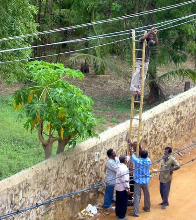 Yên tâm đi, bọn anh là khỏe nhất làng rồi đấy.