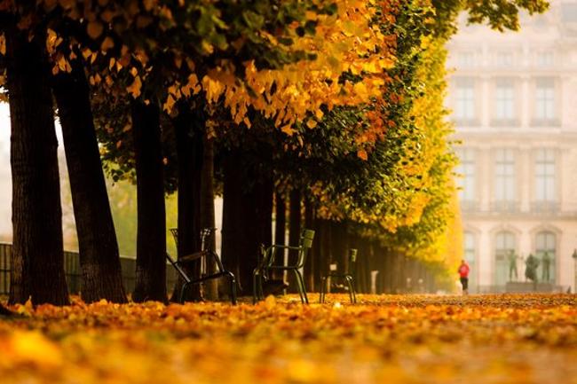 Paris, Pháp càng trở nên lãng mạn khi thu đến với những con đường xào xạc lá vàng trong ánh nắng dịu dàng, ấm áp. Du khách có thể ghé thăm cung điện Versailles, ngắm sông Seine hiền hòa, hay dạo bước trên con đường lát gạch Le Marais đầy lá vàng hay thưởng thức tách cà phê ấm nóng ở quán cà phê ngoài trời.