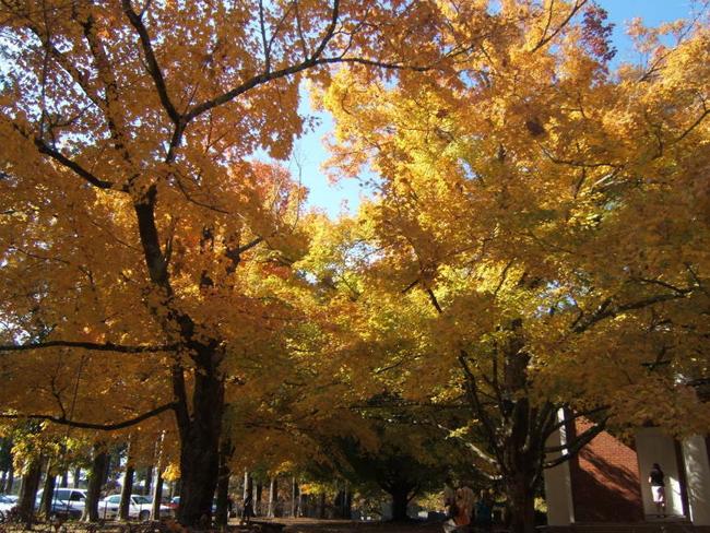 Oxford nổi tiếng là thành phố rất thân thiện và an toàn nên càng thu hút du khách vào mùa thu. Thu đến, cả thành phố cổ được khoác tấm áo lá vàng lá đỏ đẹp mơ màng trong tiết trời dễ chịu, nắng ấm. Du khách có thể thăm quan trường đại học Oxford nổi tiếng hay thỏa sức chiêm ngưỡng những tòa lâu đài hàng trăm năm tuổi.