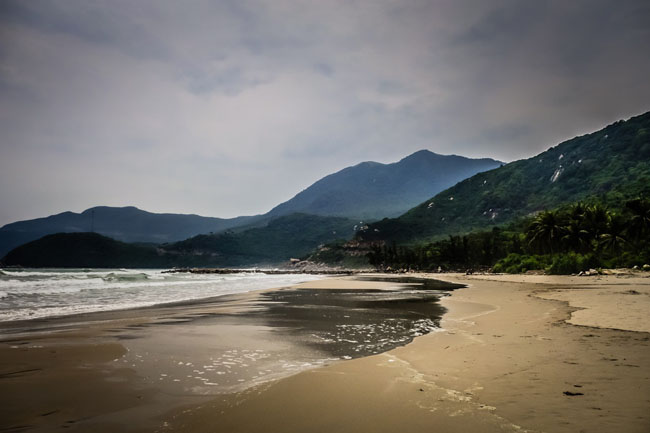 Việt Nam có hàng ngàn dặm bờ biển vẫn còn hoang sơ. Trong ảnh là bãi biển “Rừng” ở Nha Trang, &nbsp;toàn bộ 3 km bờ biển được bao bọc bởi rừng nhiệt đới, rất hoang sơ và trong lành.