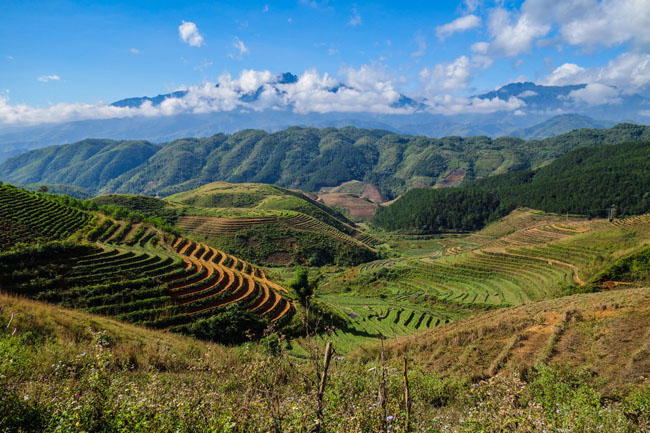 Than Uyên – “Cánh đồng cổ tích” được mệnh danh là cánh đồng mênh mông và đẹp bậc nhất miền Bắc Việt Nam