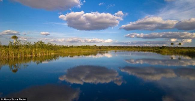 Vườn quốc gia Everglades tuyệt đẹp ở Florida, Mỹ bị hủy hoại lớn trong cơn bão năm 1992 và nay là sự phát triển nông nghiệp và đô thị. Vì thế, chất lượng nước, môi trường sống ở đây bị ảnh hưởng nghiêm trọng, dẫn đến sự suy giảm các loài sinh vật.