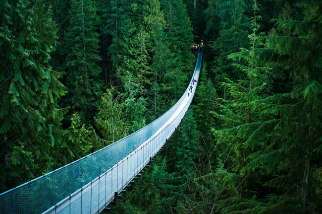 Cầu treo Capilano bắc qua sông Capilano ở Vancouver,&nbsp; Canada. Đây là địa điểm du lịch rất hấp dẫn du khách.