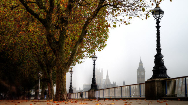 Khung cảnh mùa thu trên bờ Nam sông Thames ở London, Anh.