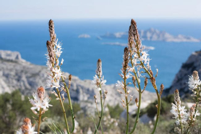 Vườn quốc gia Calanques ở Pháp nổi tiếng với những vách núi đá vôi tuyệt đẹp. Đây là một trong số ít khu vực ven biển ở Tây Âu không có đường ven biển.