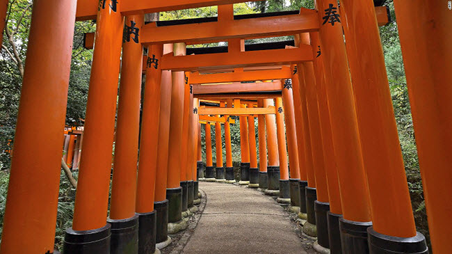 Một trong những điểm du lịch hấp dẫn nhất tại thành phố Kyoto là ngôi đền Fushimi Inari, với cổng vào&nbsp;là&nbsp;hệ thống đường mòn kéo dài khoảng 4&nbsp;km.